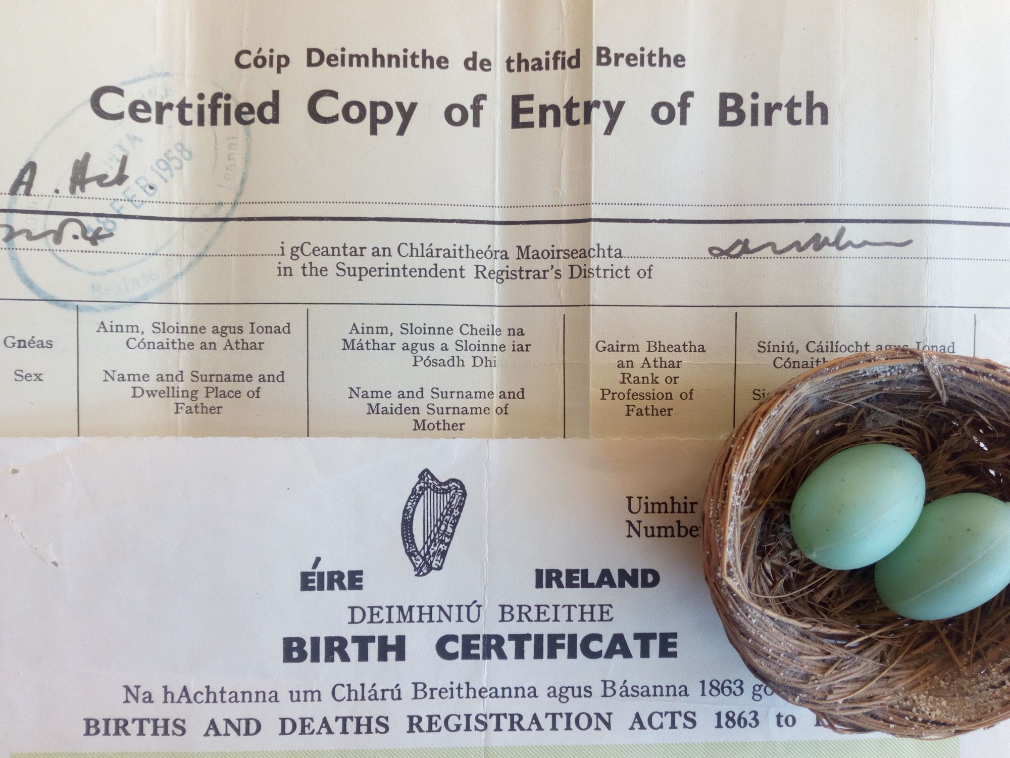 What's I got to do with T?