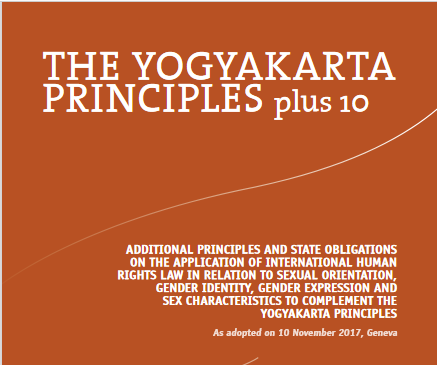 What are the Yogyakarta Principles and what do they seek to achieve?