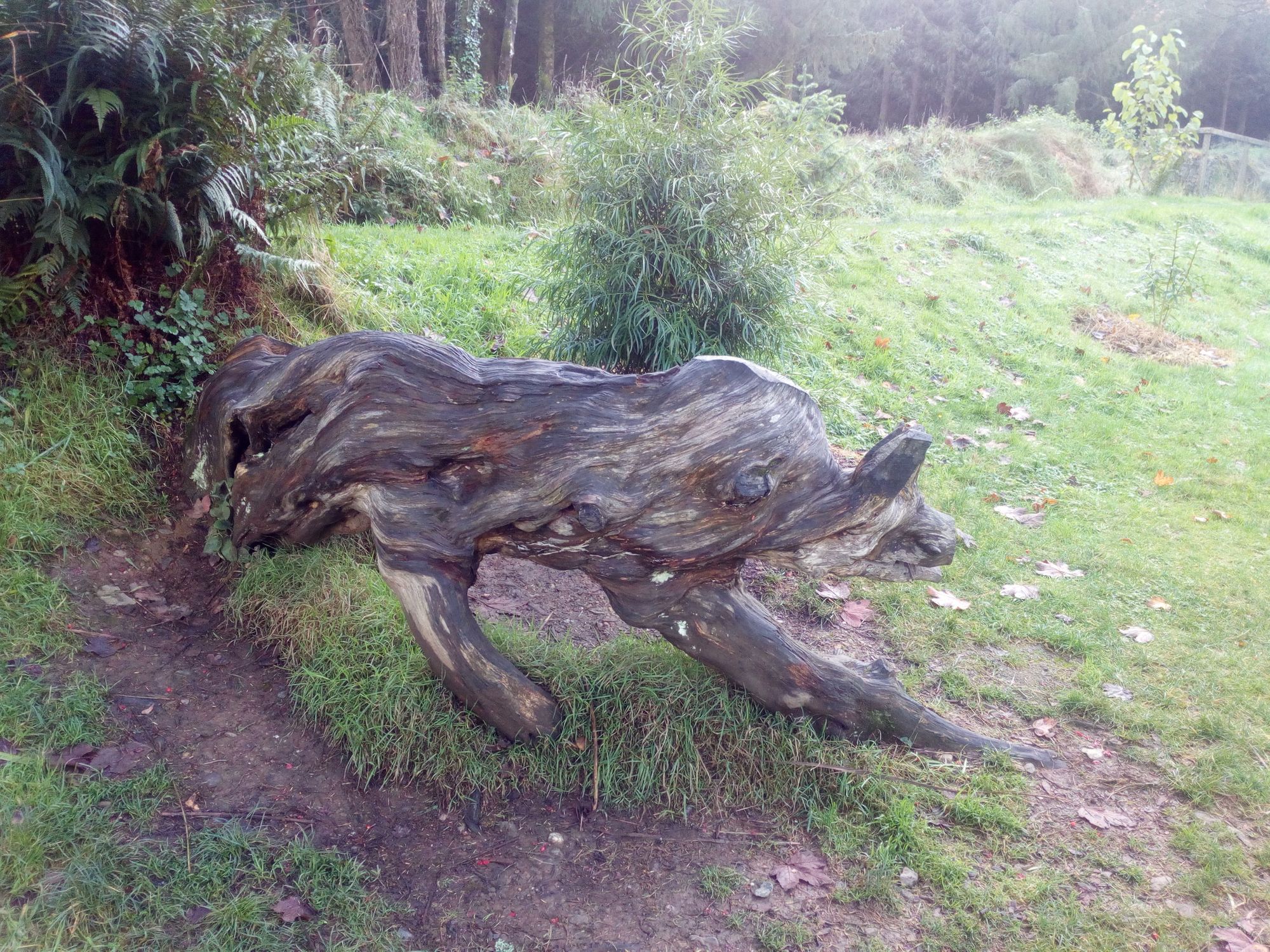 ICCL promotes hate crime law