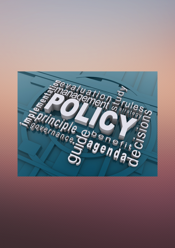 Leinster House succumbs to policy capture