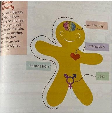 Colonisation of the Irish Curriculum Part III